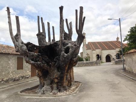 Imagen La Diputación instará al Gobierno de España a tomar las medidas necesarias para dar solución al problema de la financiación local