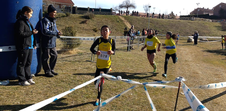 Imagen Cerca de 400 niños de la provincia participaron el domingo en la final del campeonato escolar de Campo a Través