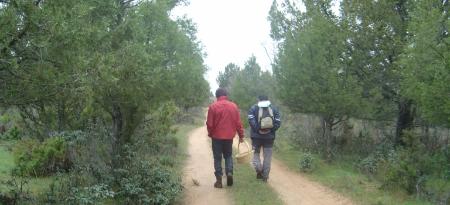 Imagen El proyecto Micocyl regula este año terrenos de 40 municipios de la provincia