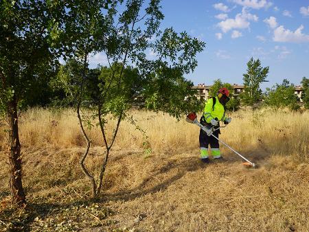 Imagen Las brigadas forestales de la Diputación de Segovia ejecutan trabajos de prevención de incendios en más de cien municipios desde el inicio de la época de riesgo alto
